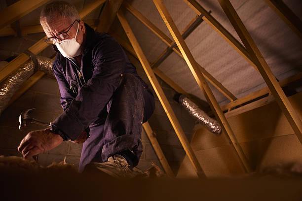 Best DIY Insulation Kits and Guidance in Canterwood, WA